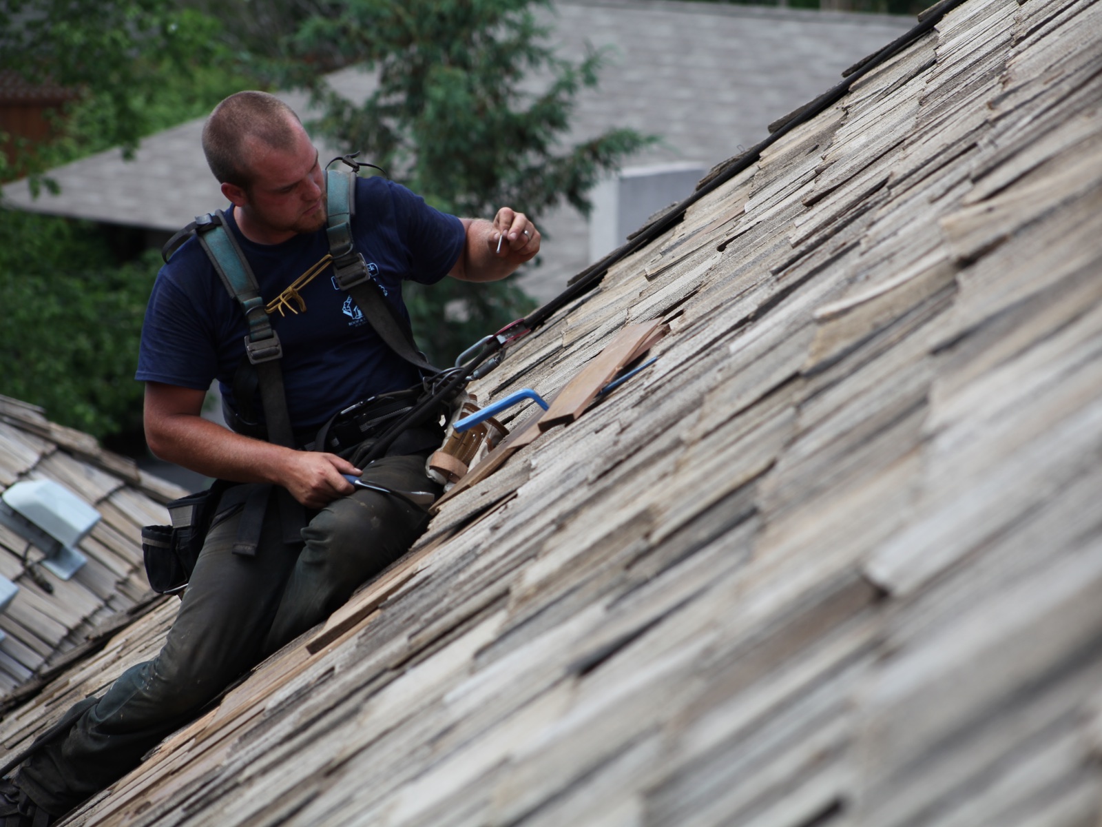 cedar roof cleaner in minneapolis